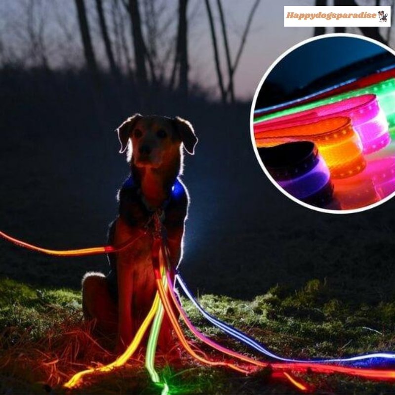 happydogsleash™ - Laisse lumineuse pour chien - Happydogsparadise