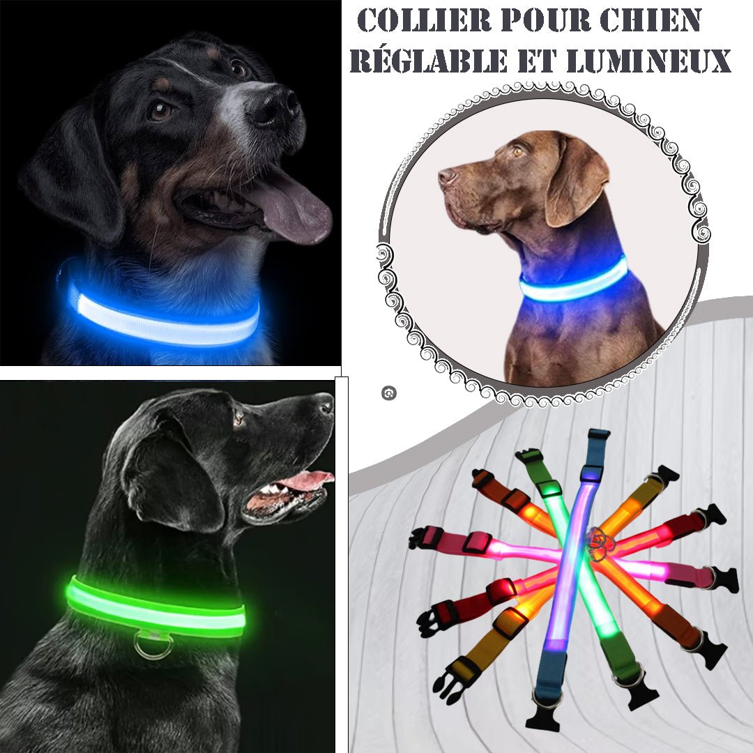 HappydogsNecklace™ - Collier lumineux chien - Happydogsparadise