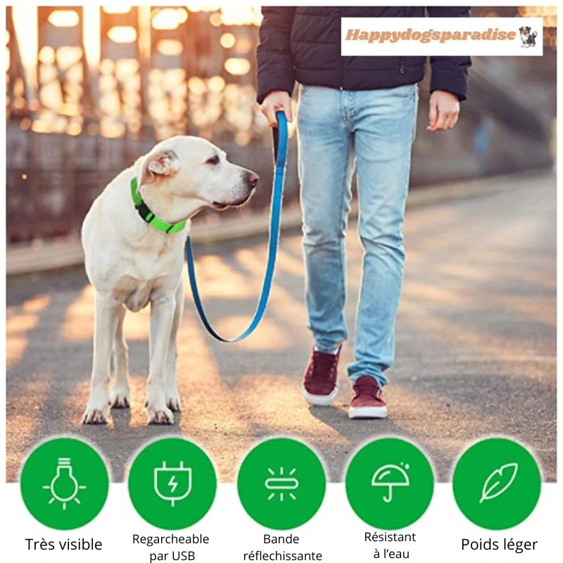 HappydogsNecklace™ - Collier lumineux chien - Happydogsparadise